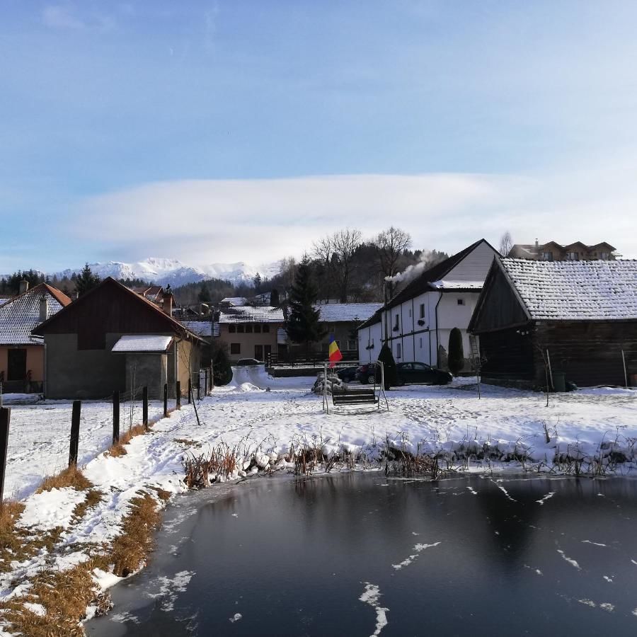 Гостевой дом Guest House Piatra Craiului Бран-18