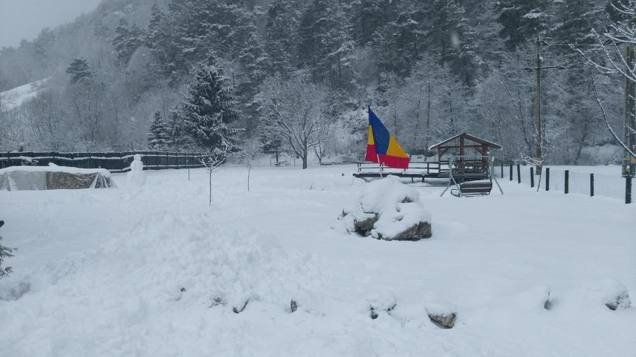 Гостевой дом Guest House Piatra Craiului Бран-42