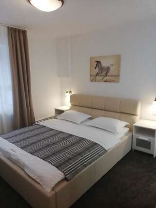 Гостевой дом Guest House Piatra Craiului Бран Двухместный номер с 1 кроватью-6