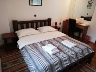 Гостевой дом Guest House Piatra Craiului Бран Двухместный номер с 1 кроватью и видом на горы-3