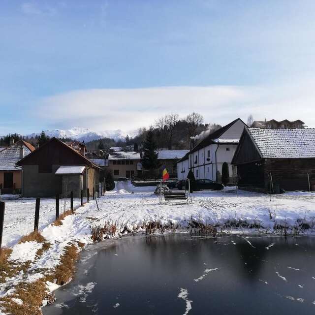 Гостевой дом Guest House Piatra Craiului Бран-17