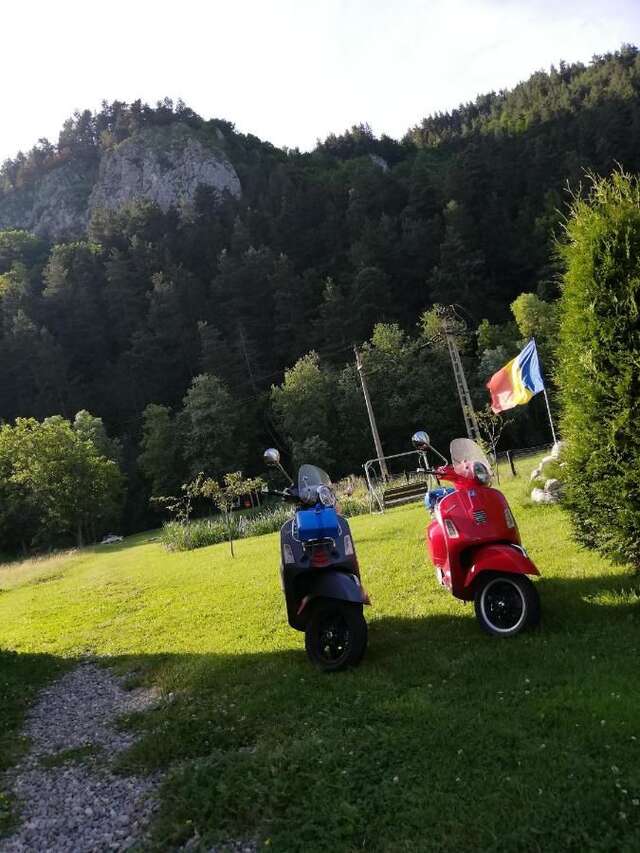 Гостевой дом Guest House Piatra Craiului Бран-32
