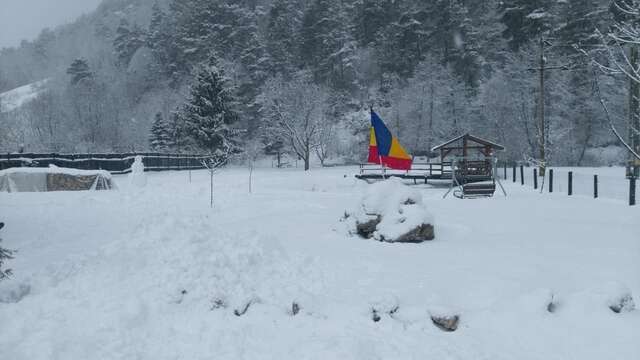 Гостевой дом Guest House Piatra Craiului Бран-41